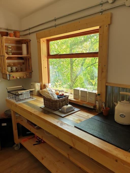 The Potting Shed Near Tenby, 100" Projector, Four Poster Bed, On-Site Hot Tub Access Via Spa Pack, Breakfast Dış mekan fotoğraf